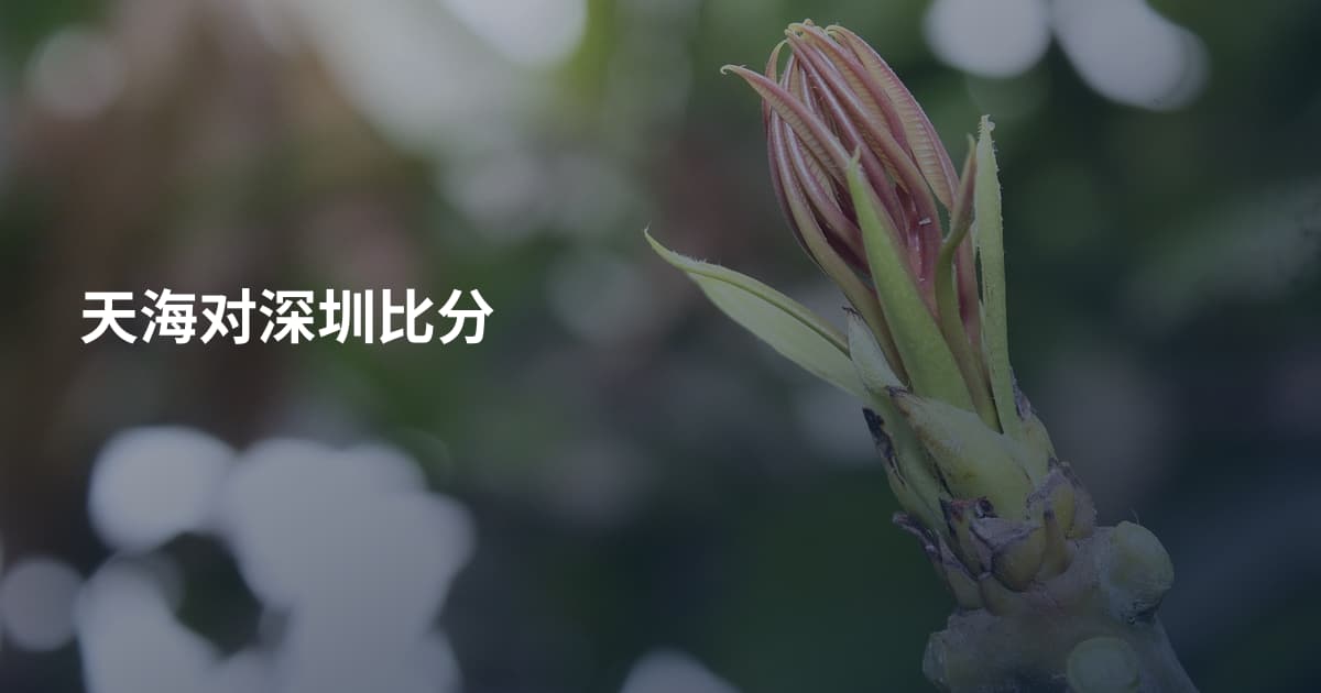 天海对深圳比分