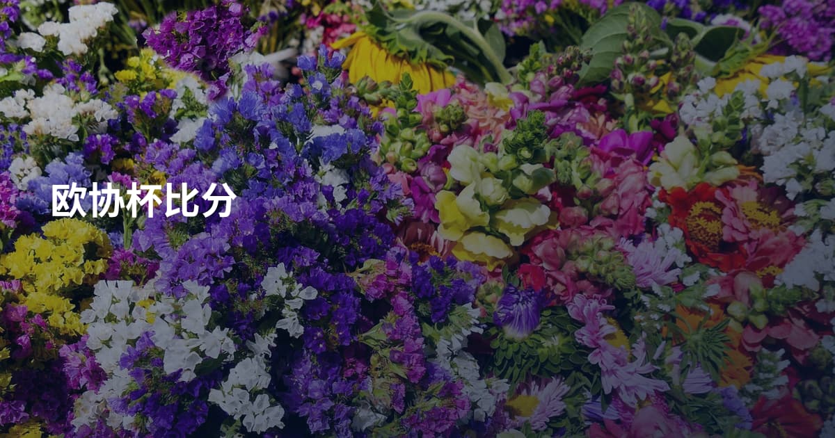 欧协杯比分