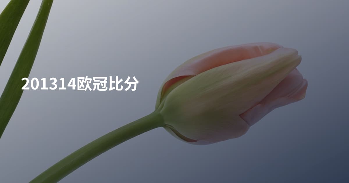 201314欧冠比分
