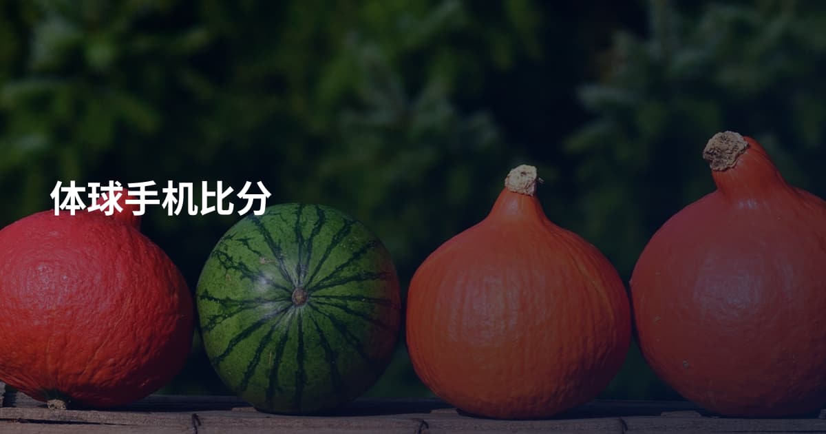 体球手机比分