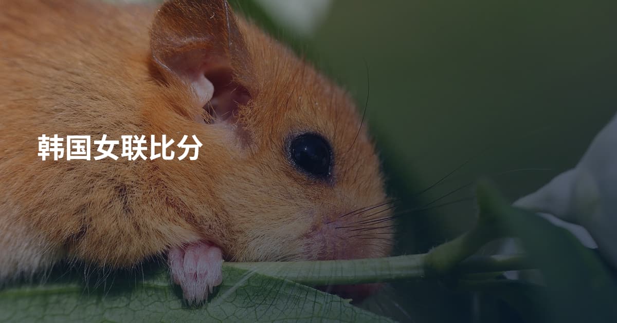 韩国女联比分