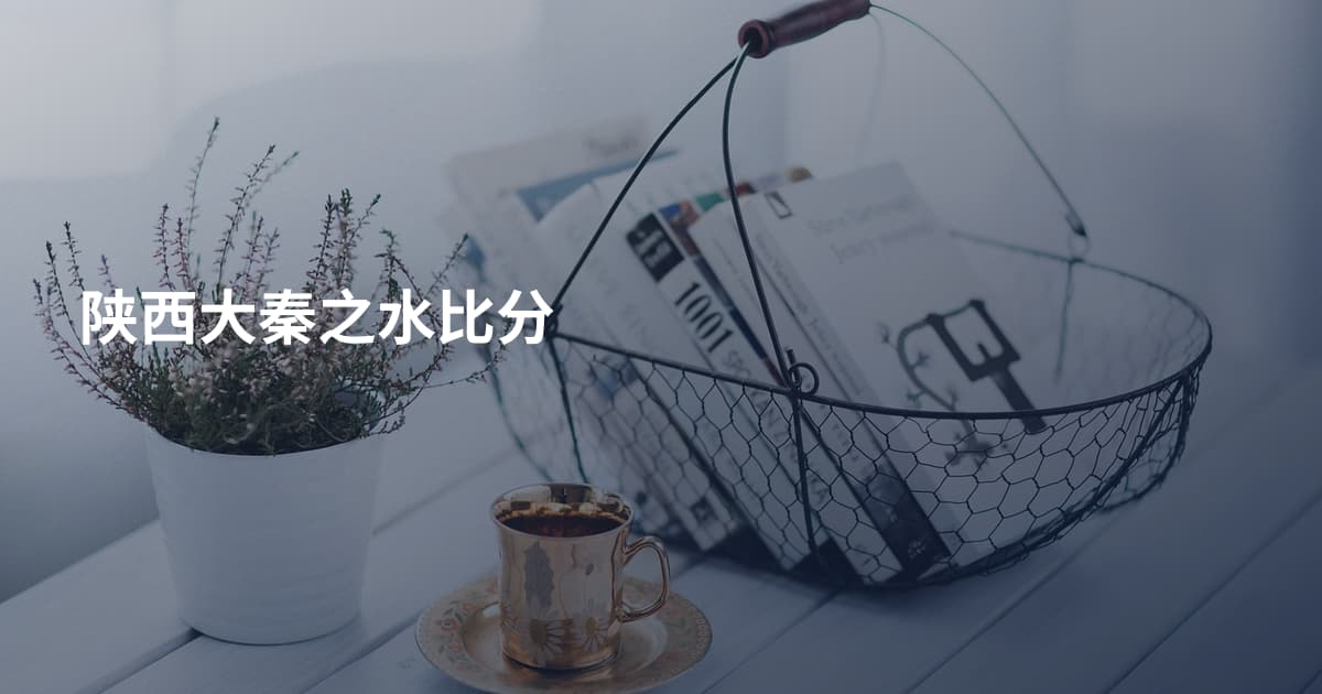 陕西大秦之水比分