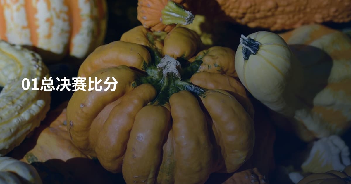 01总决赛比分