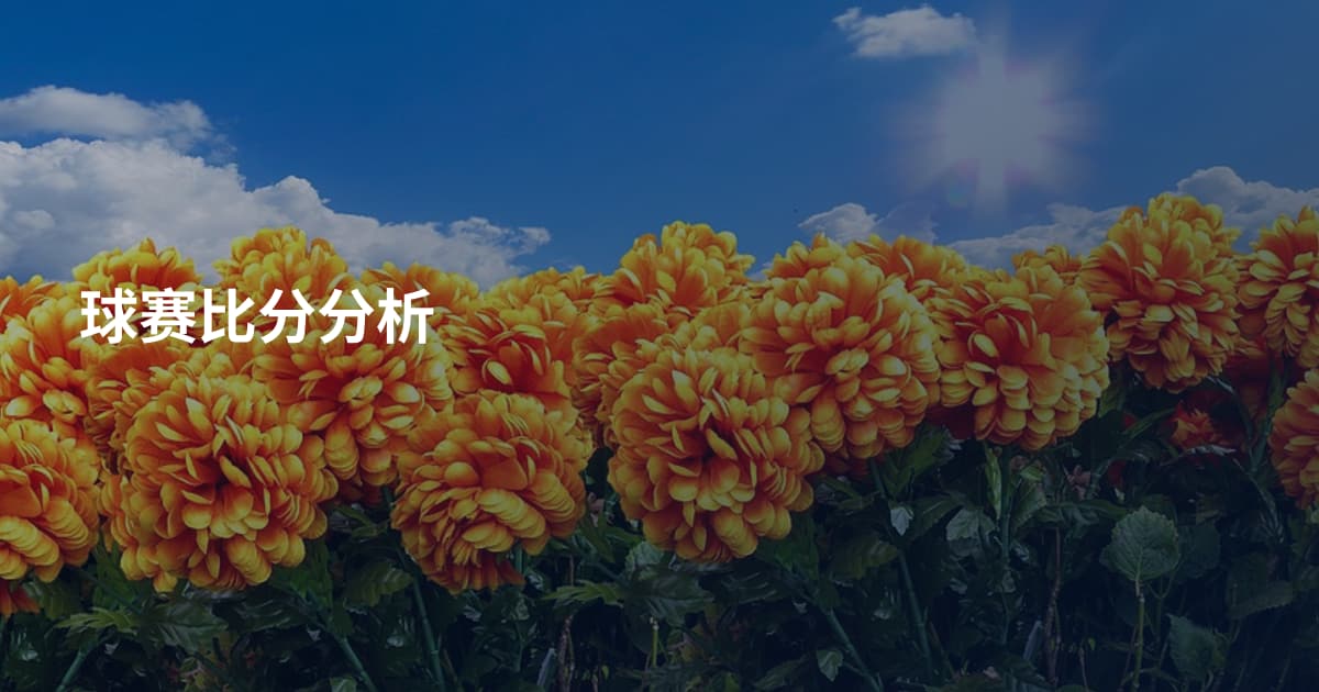 球赛比分分析