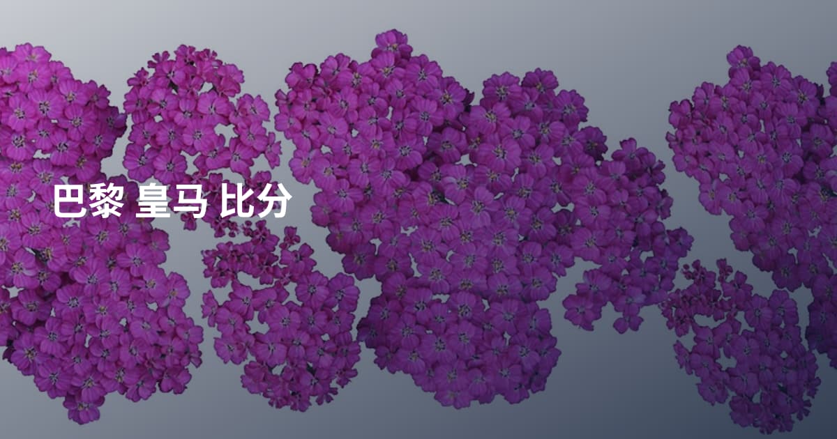 巴黎 皇马 比分