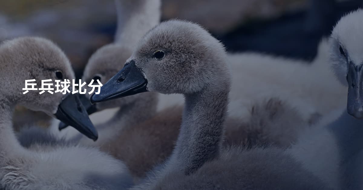乒兵球比分