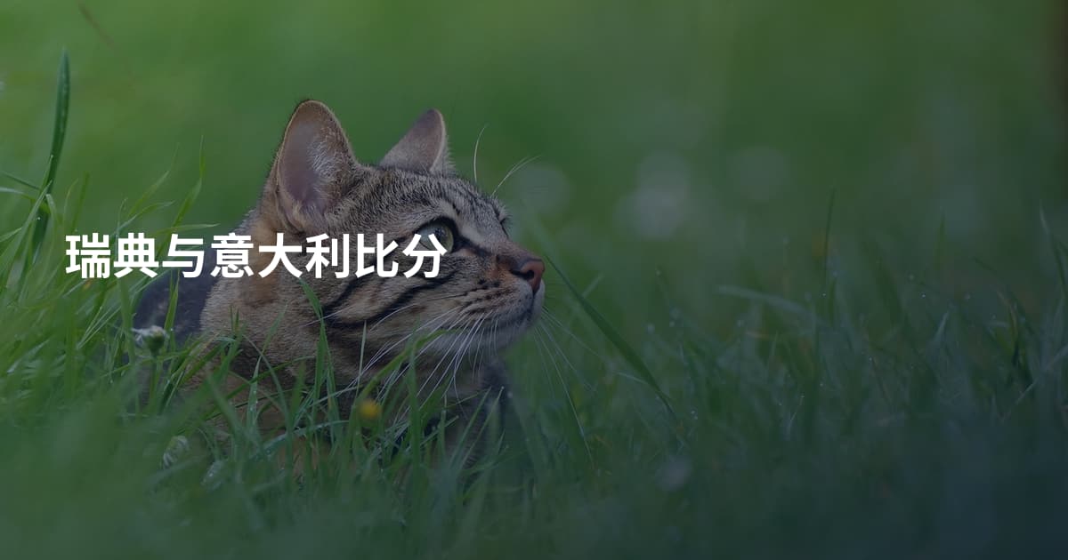 瑞典与意大利比分