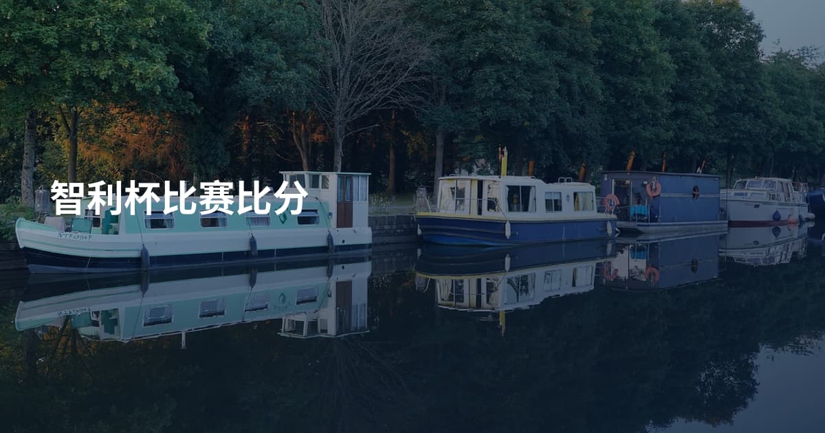 智利杯比赛比分