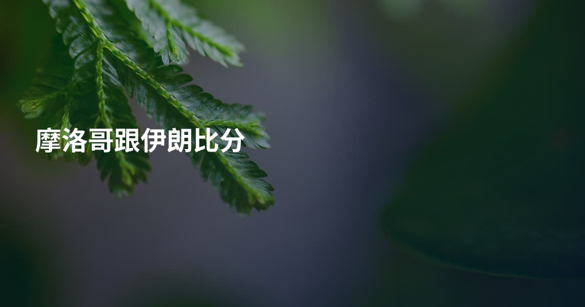 摩洛哥跟伊朗比分