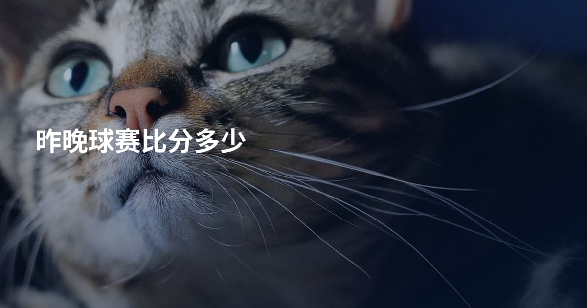 昨晚球赛比分多少