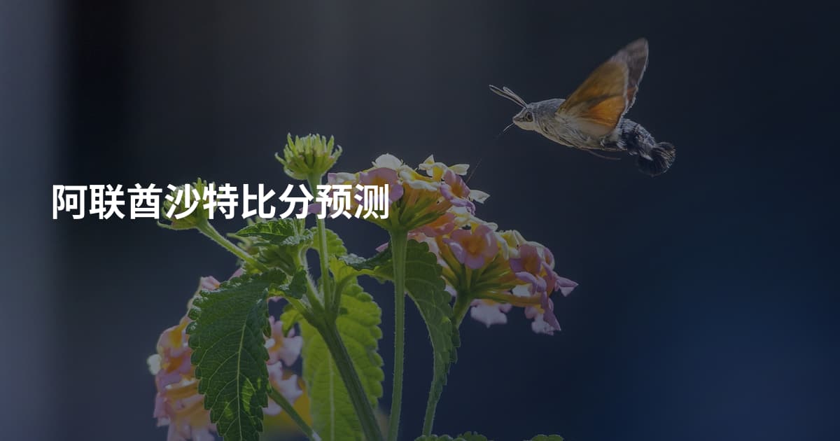 阿联酋沙特比分预测