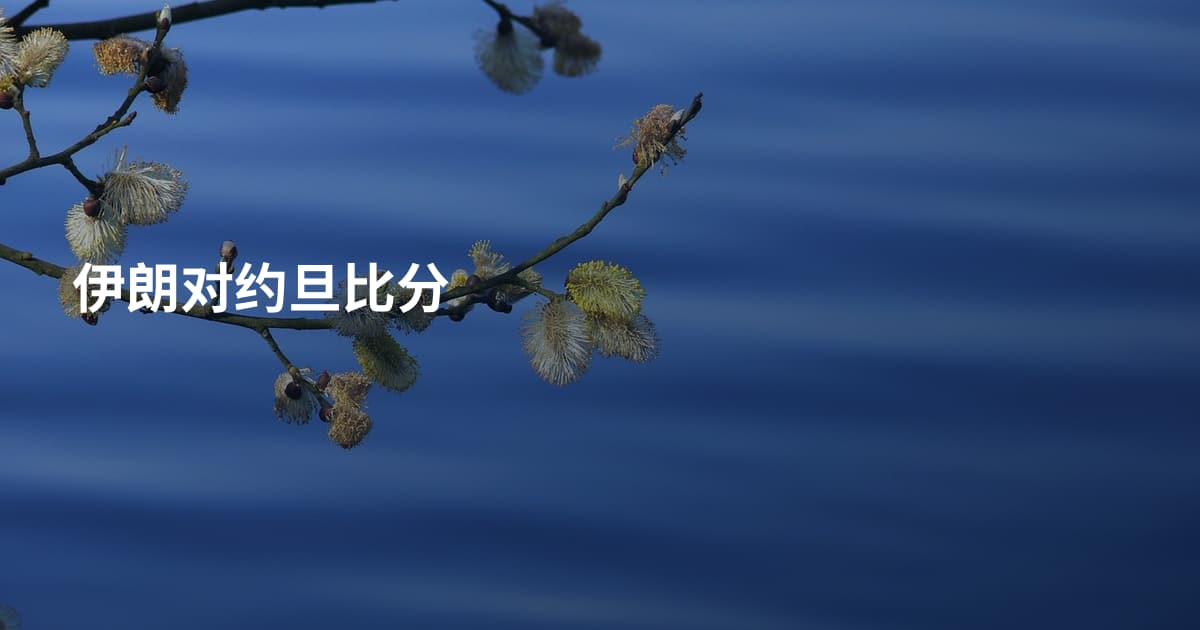 伊朗对约旦比分