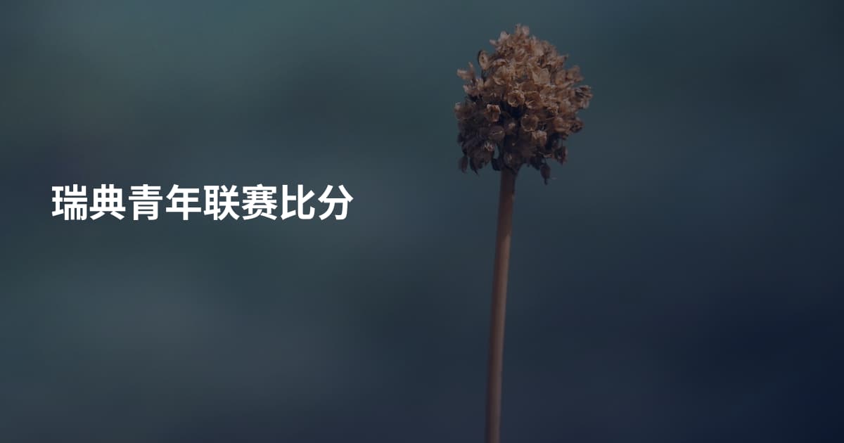 瑞典青年联赛比分