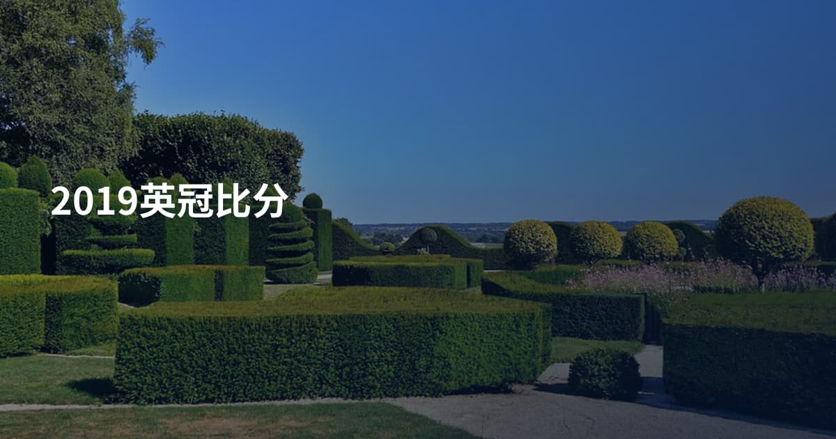 2019英冠比分