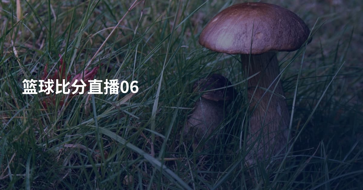 篮球比分直播06