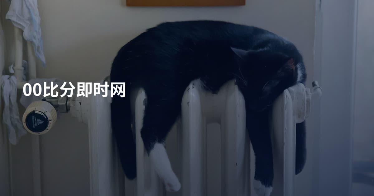 00比分即时网
