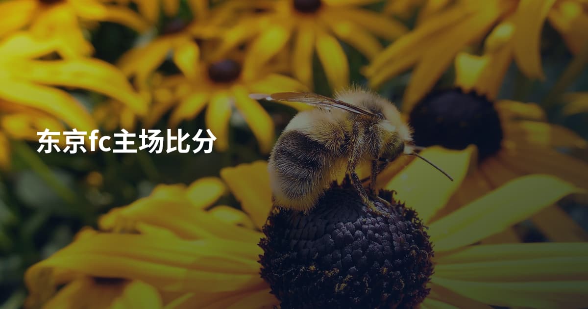 东京fc主场比分