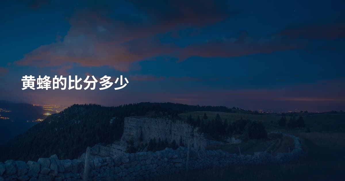 黄蜂的比分多少