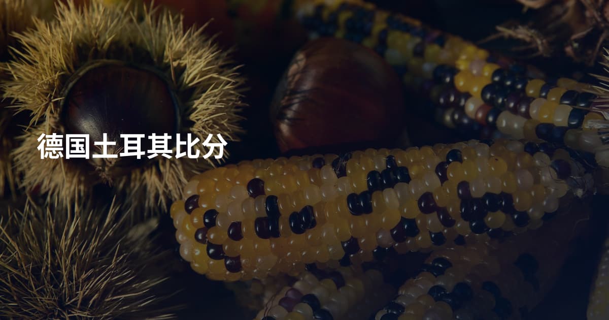 德国土耳其比分