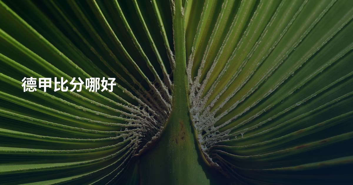 德甲比分哪好