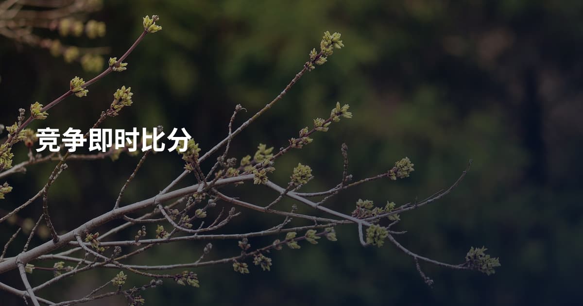 竞争即时比分