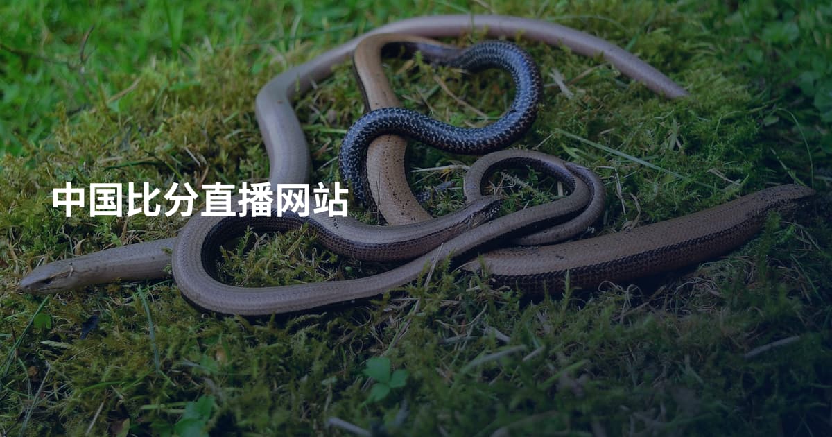 中国比分直播网站