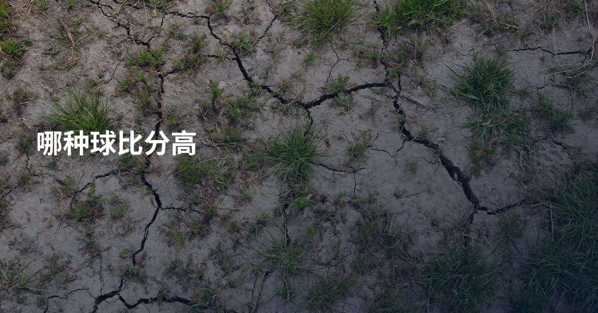 哪种球比分高