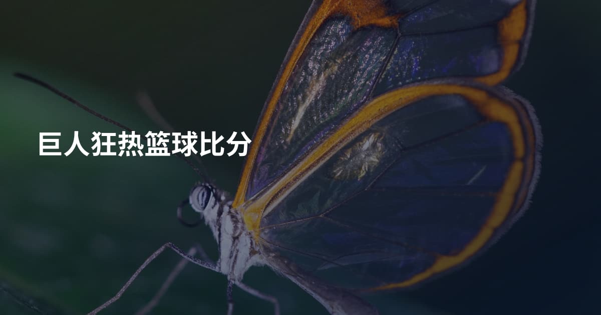 巨人狂热篮球比分
