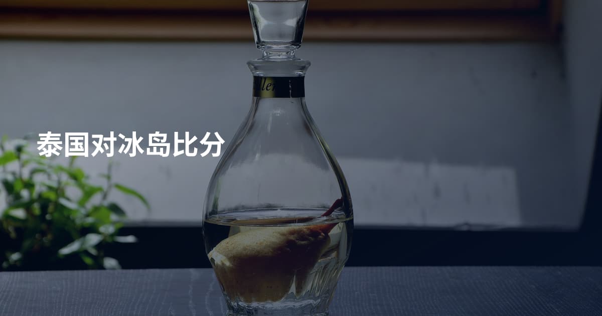 泰国对冰岛比分