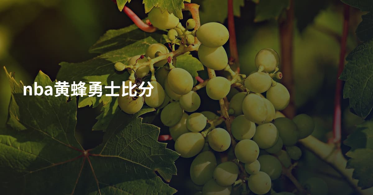 nba黄蜂勇士比分