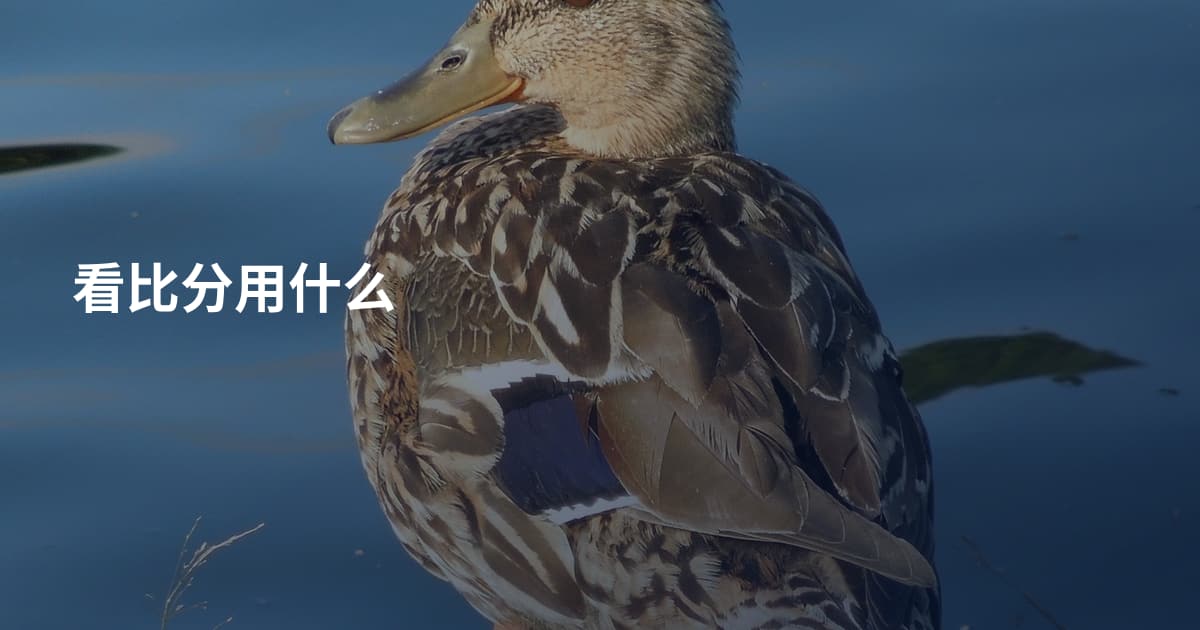 看比分用什么