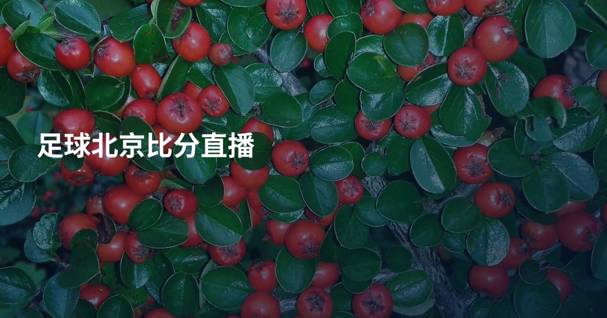 足球北京比分直播