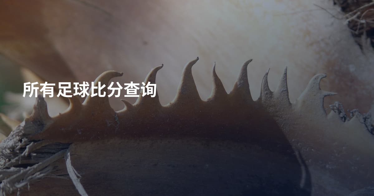 所有足球比分查询