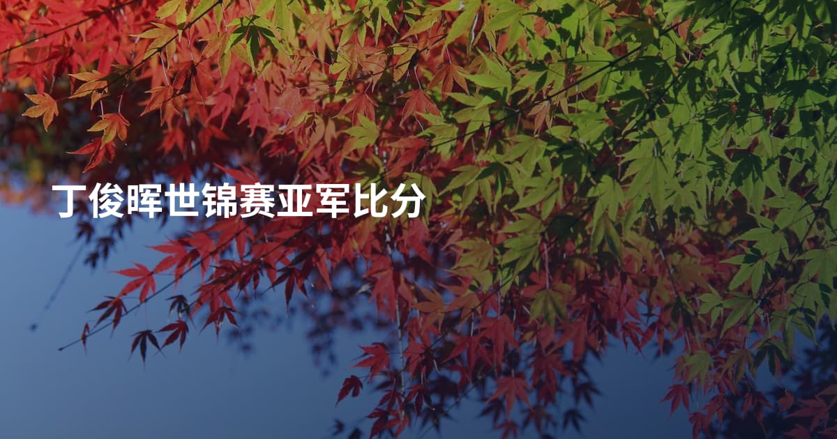 丁俊晖世锦赛亚军比分
