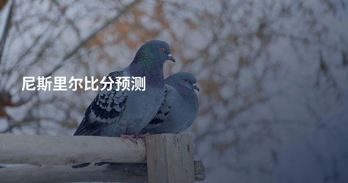 尼斯里尔比分预测
