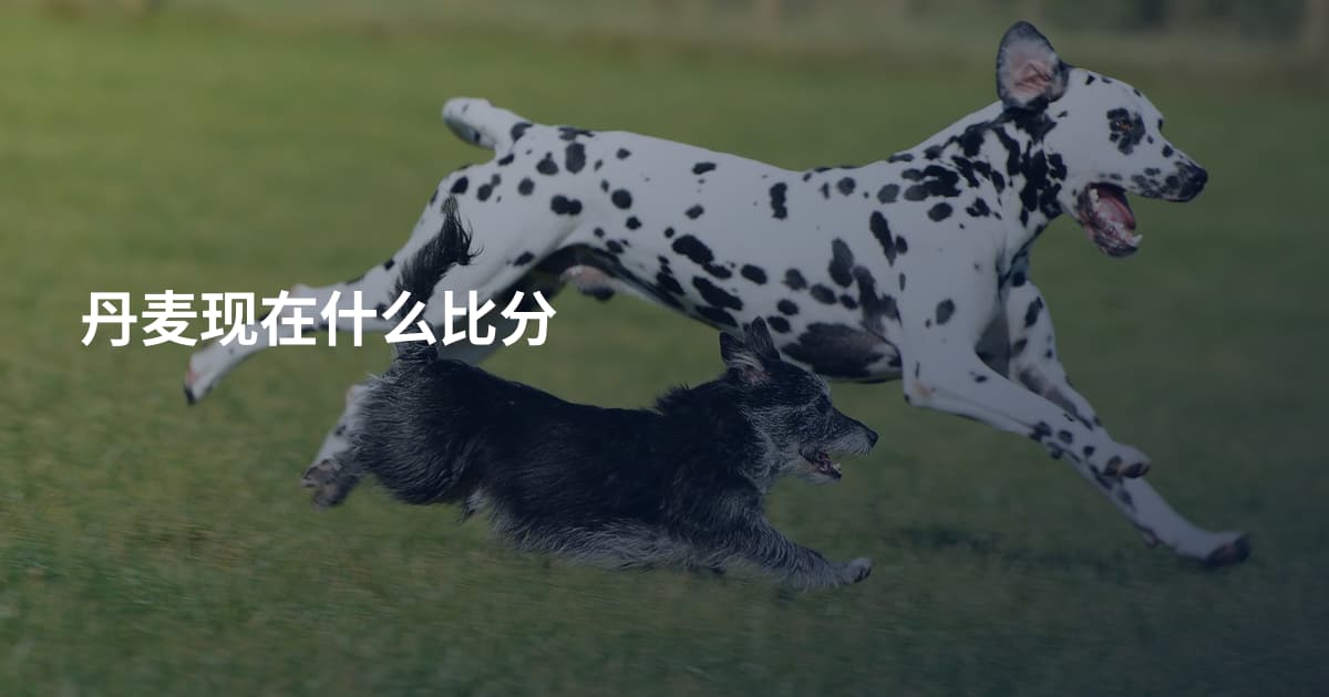 丹麦现在什么比分