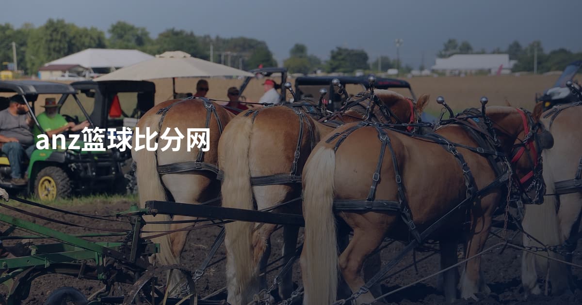 anz篮球比分网