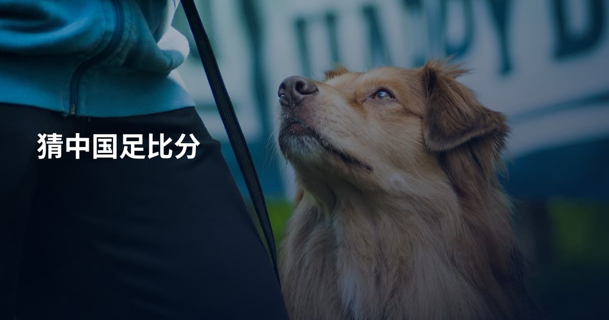 猜中国足比分