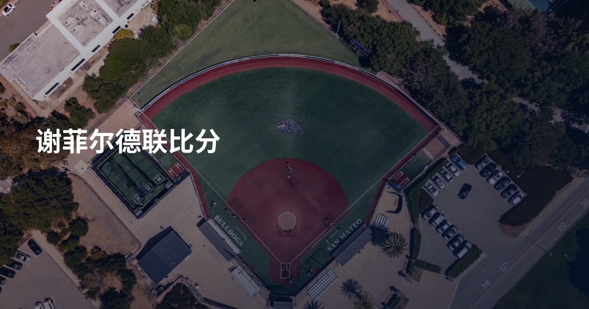 谢菲尔德联比分