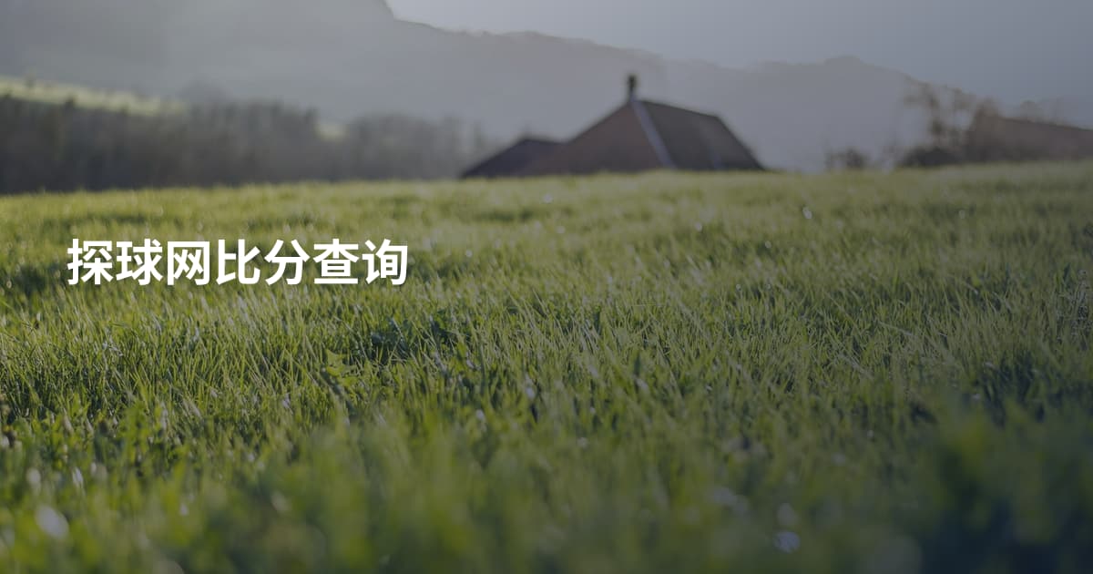 探球网比分查询