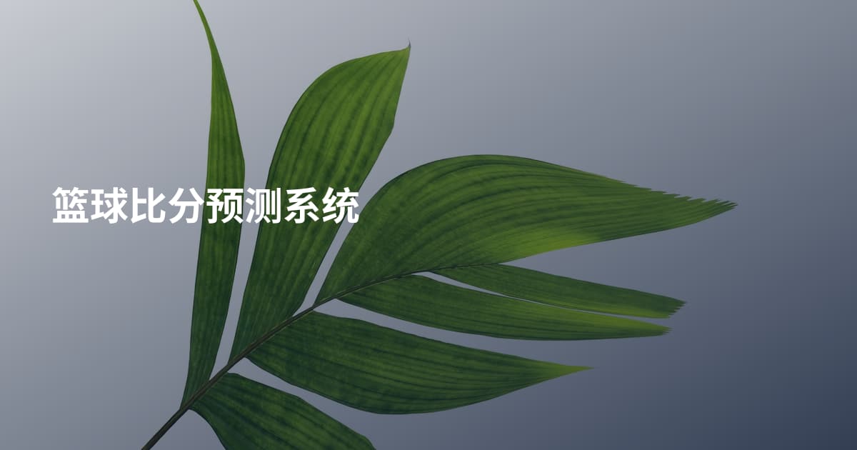 篮球比分预测系统