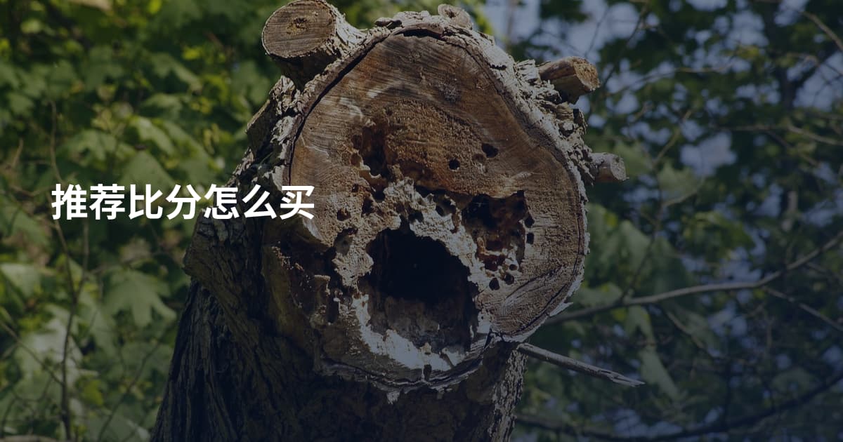 推荐比分怎么买