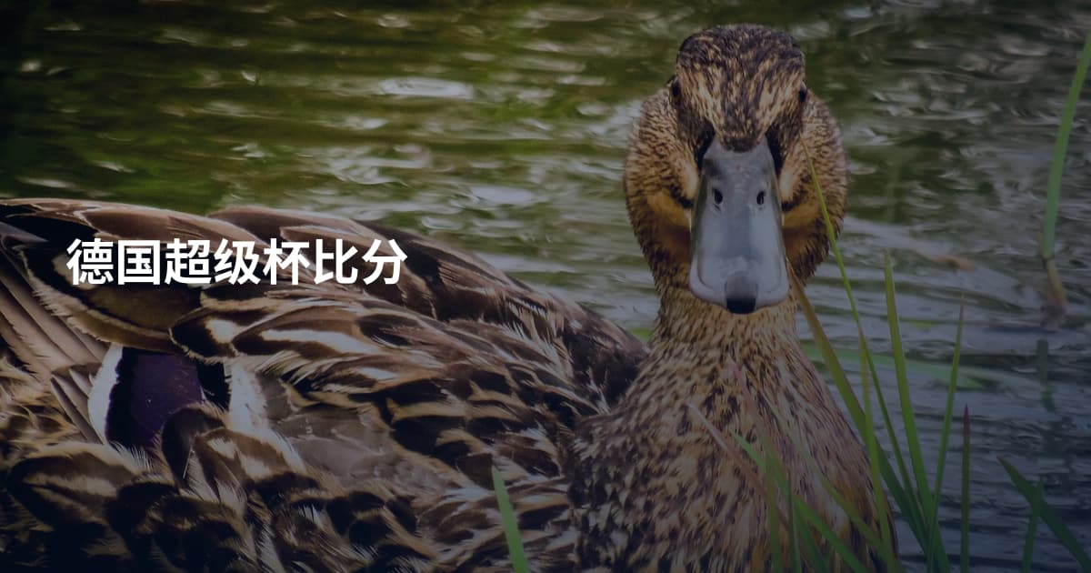 德国超级杯比分