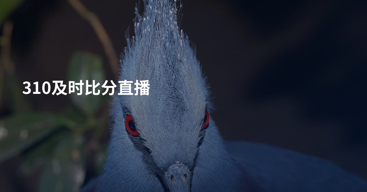 310及时比分直播