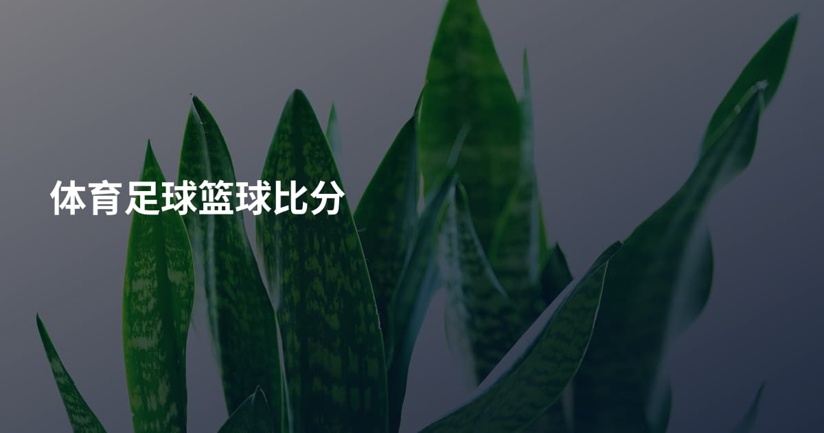 体育足球篮球比分