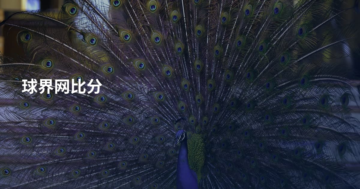 球界网比分