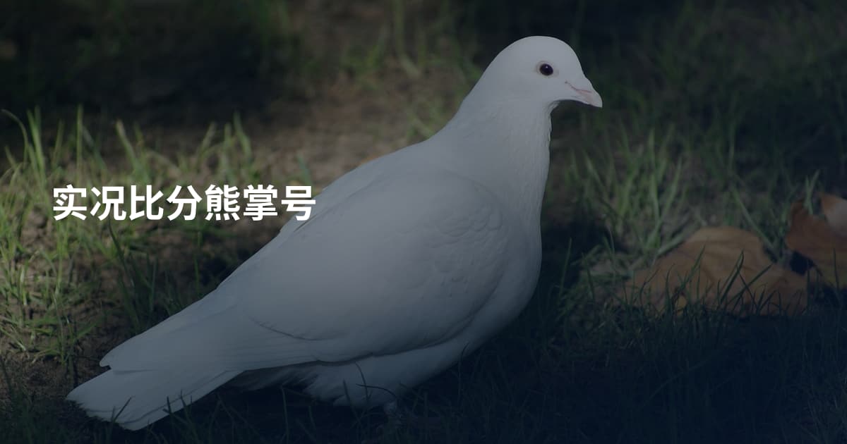 实况比分熊掌号