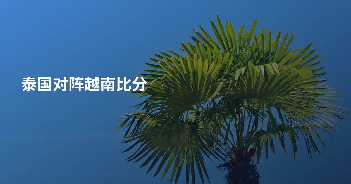 泰国对阵越南比分