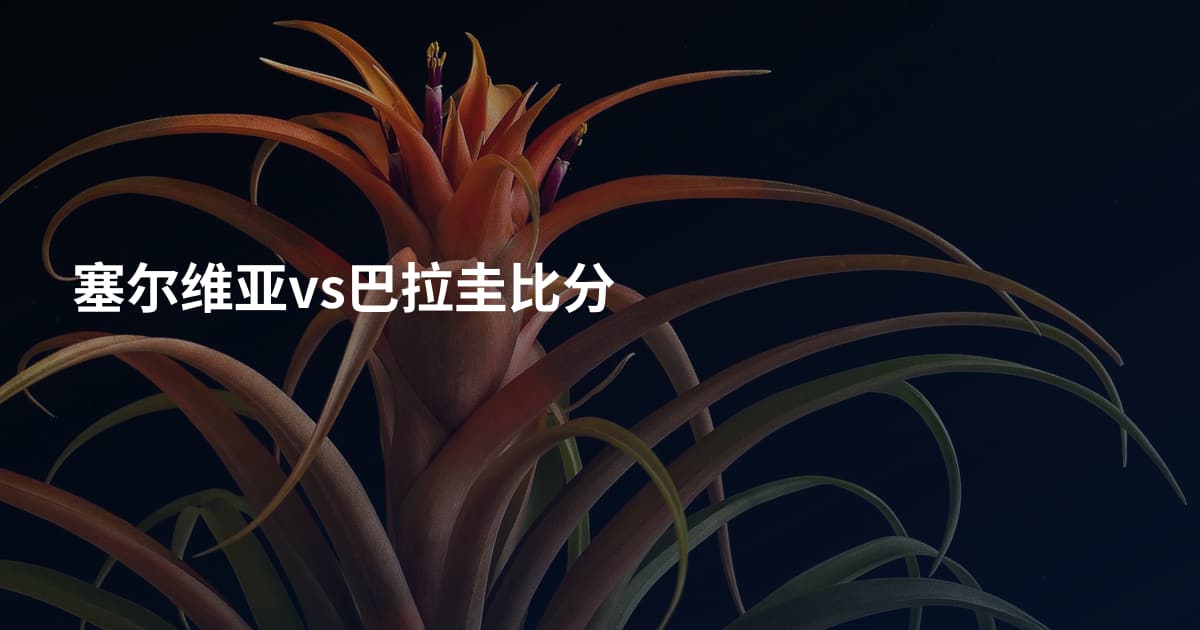 塞尔维亚vs巴拉圭比分
