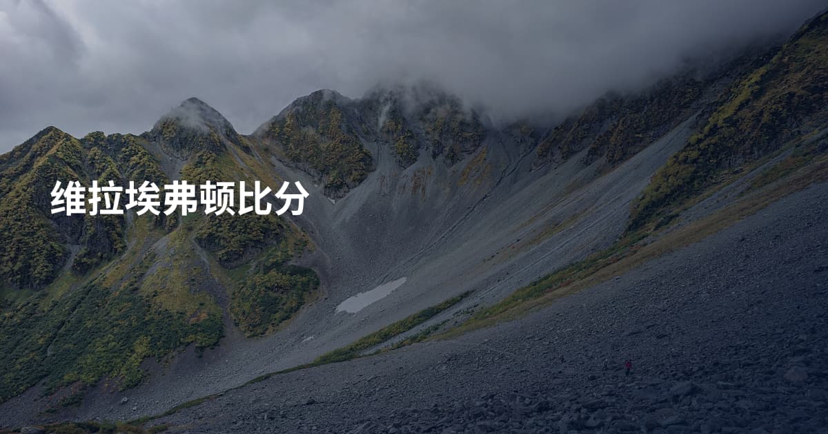 维拉埃弗顿比分